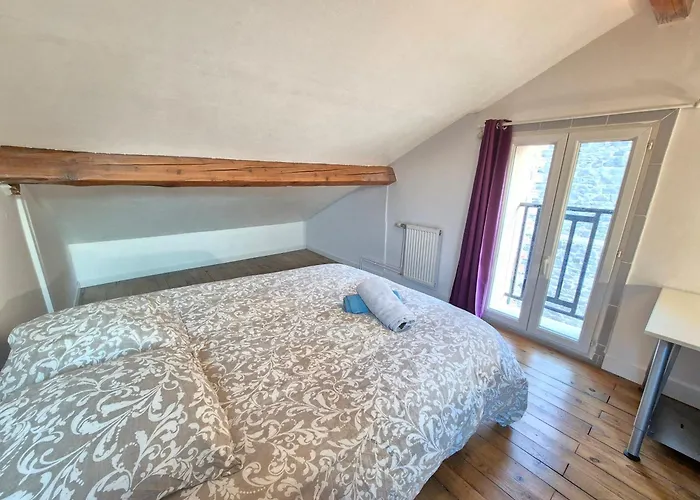 Le Mallet #jardin#central Apartment Clermont-Ferrand